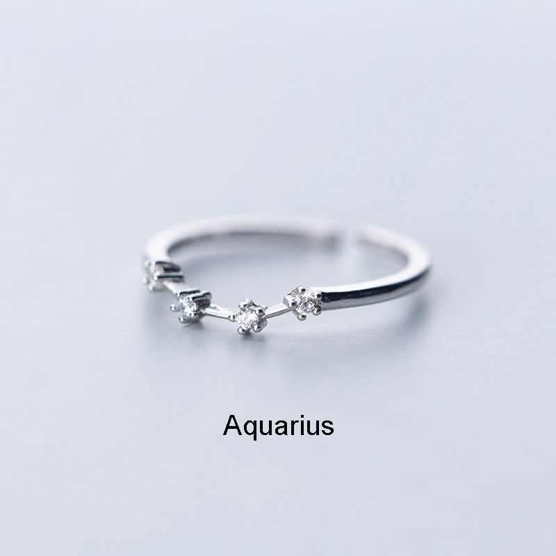Inlaid Cubic Zircon 12 Constellation Zodiac Sign Rings for Simple Sier Color Adjustable Ring Jewelry Gift