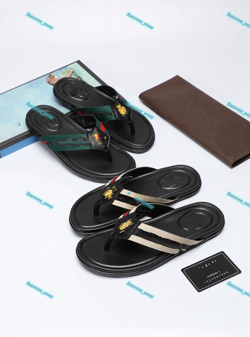 2021 men and women Web sneakers strap thong sandal men's sandals fashion casual slippers top quality size36-45, Black;red
2021 men and women Web sneakers strap thong sandal men's sandals fashion casual slippers top quality size36-45, Black;red