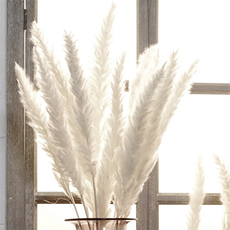 15Pcs/Lot White Pampas Grass Artificial Natural Dried Flower Bouquet Decor Real Plants Trawa Pampasowa Wedding Home Decoration, Primary color
15Pcs/Lot White Pampas Grass Artificial Natural Dried Flower Bouquet Decor Real Plants Trawa Pampasowa Wedding Home Decoration, Primary color