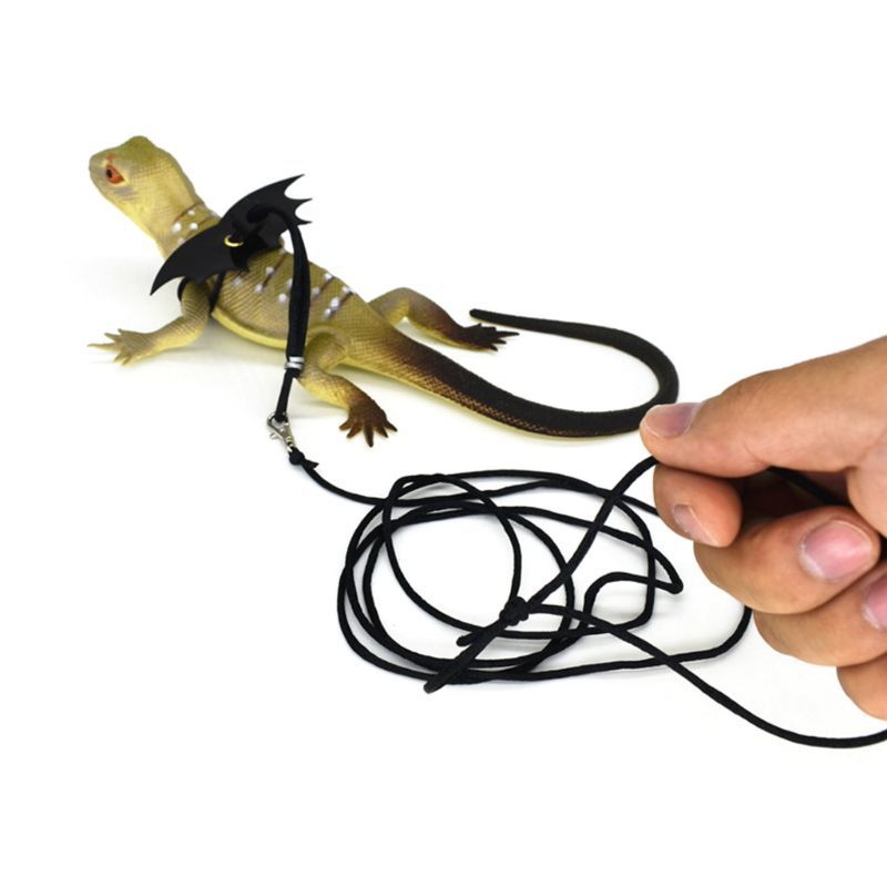 Pet Lguana Adjustable Wing Style Little Hagedis Reptile Harnas Climbing Touw Belt Draak Harnas Leash