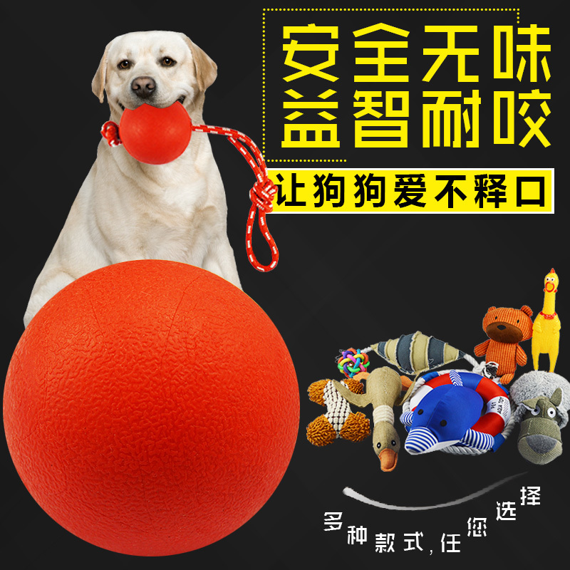 Dog ball, molar, bite resistant, squeal, plush cotton rope , Teddy golden fur, pet toy for puppies
Dog ball, molar, bite resistant, squeal, plush cotton rope , Teddy golden fur, pet toy for puppies