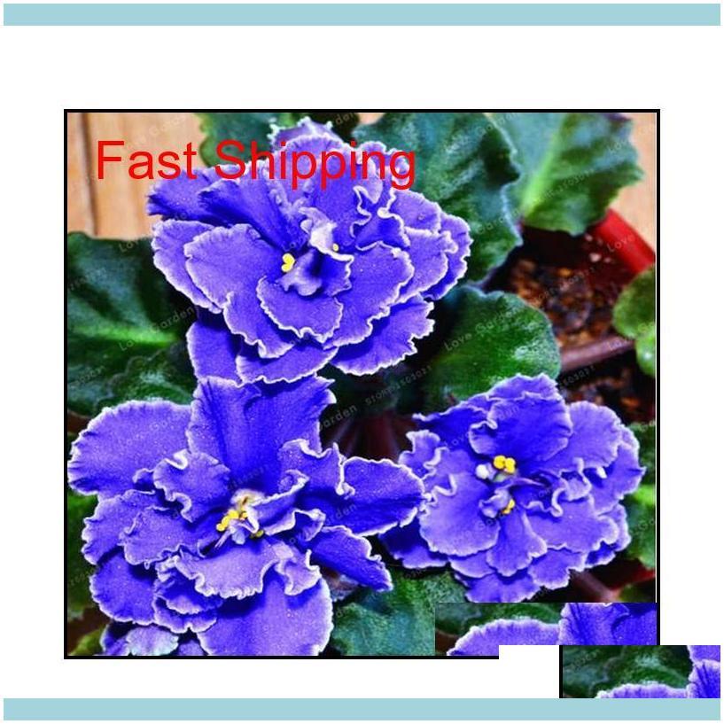 Other Supplies Patio, Lawn Garden Home & Garden100 Pcs/Bag African Violet Seeds Saintpaulia Ionantha Plant Bonsai Beautiful Flower Diy Qylhi
Other Supplies Patio, Lawn Garden Home & Garden100 Pcs/Bag African Violet Seeds Saintpaulia Ionantha Plant Bonsai Beautiful Flower Diy Qylhi