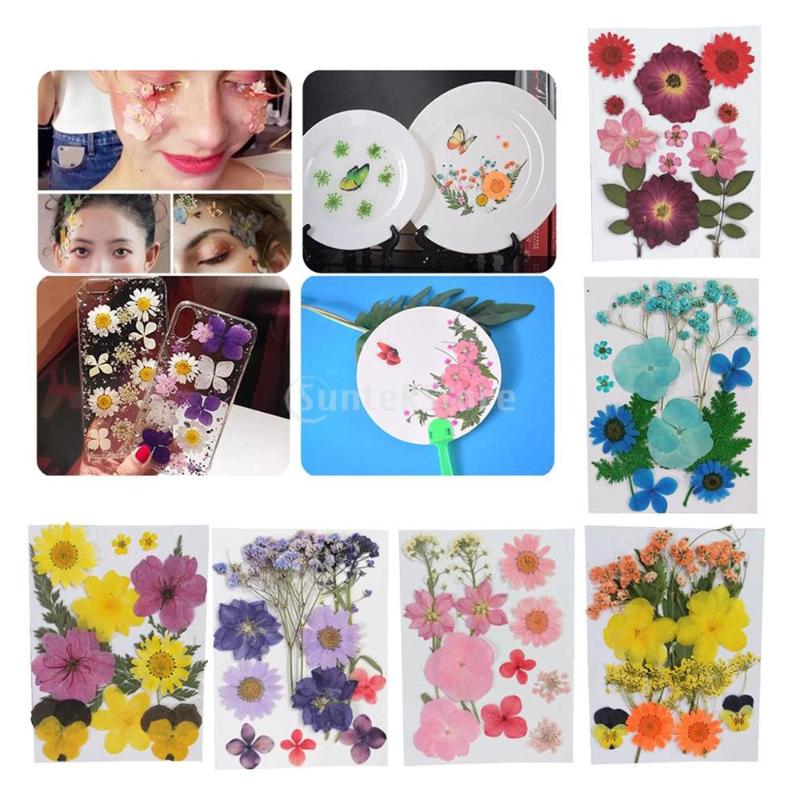 Decorative Flowers & Wreaths Multi Real Pressed Dried Embellishments DIY Candle Crafts Card Making Leaves Flower Jewelry
Decorative Flowers & Wreaths Multi Real Pressed Dried Embellishments DIY Candle Crafts Card Making Leaves Flower Jewelry
