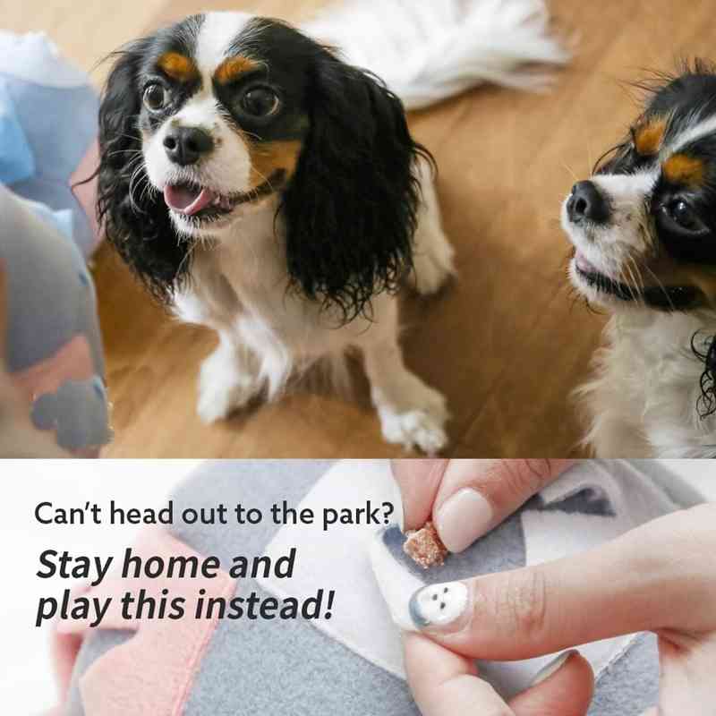Dog Nosework Snuffle Toy Dog Puppy Sniffing Ball IQ Treat Feeding Toys Food Dispensing Pet Biting Ball Intelligence Training Toy