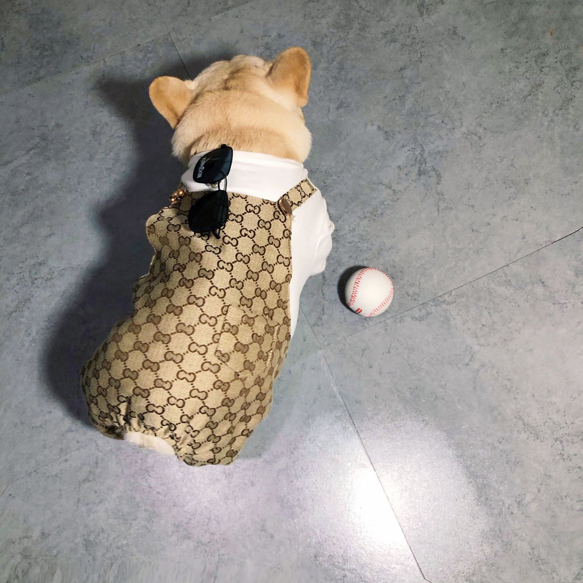 Dog Apparel clothing large goods four seasons anti-light rain method to fight Schnauzer Bomei cat sad5534
Dog Apparel clothing large goods four seasons anti-light rain method to fight Schnauzer Bomei cat sad5534
