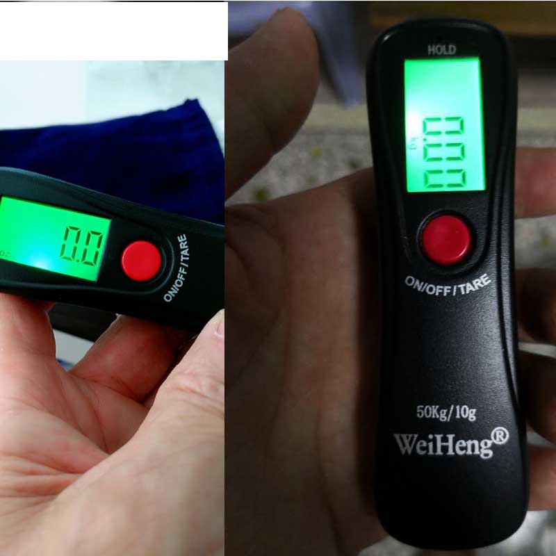 50kg/10g Mini Digital Scale For Fishing Travel Luggage Weight Kitchen Steelyard Portable Electronic Hanging Hook Scales
