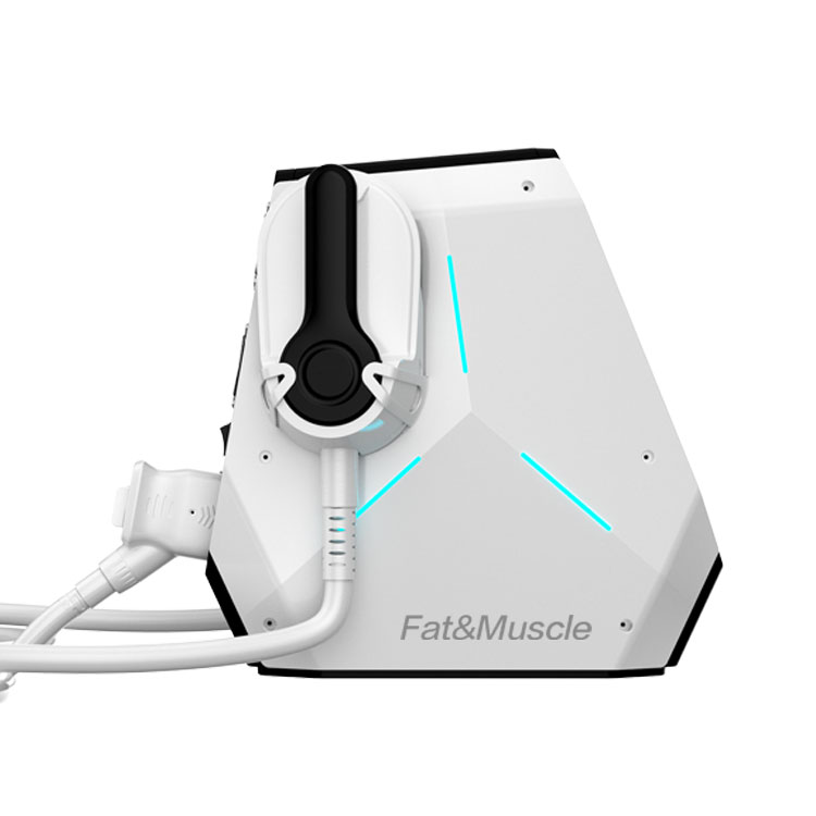 Salon 2 Handles electromagnetic Ems stimulator muscle stimulation Emslim machine