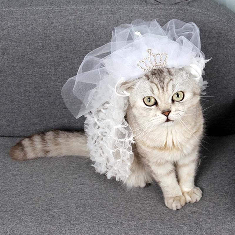 Cat Costumes Elegant Wedding Dress Pet Cloak Transfiguration Crossdresser Costume Lightweight Comfortable Itch-Free Festive Party
Cat Costumes Elegant Wedding Dress Pet Cloak Transfiguration Crossdresser Costume Lightweight Comfortable Itch-Free Festive Party