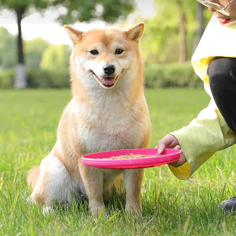 1 Pc Interactive Dog Chew Toys Resistance Bite Soft Puppy Pet Toy for Dogs Pet Training supplies Dog Flying Discs