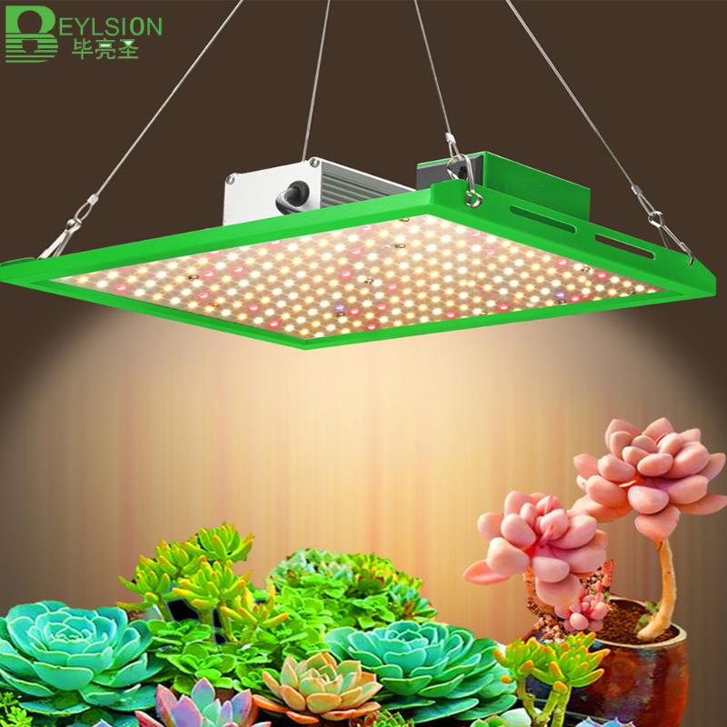 Grow Lights BEYLSION 1000-4000WLK Dimmable AC100-277V LED Growing Plant Lighting Indoor Lamps Fixtures For Tent
Grow Lights BEYLSION 1000-4000WLK Dimmable AC100-277V LED Growing Plant Lighting Indoor Lamps Fixtures For Tent
