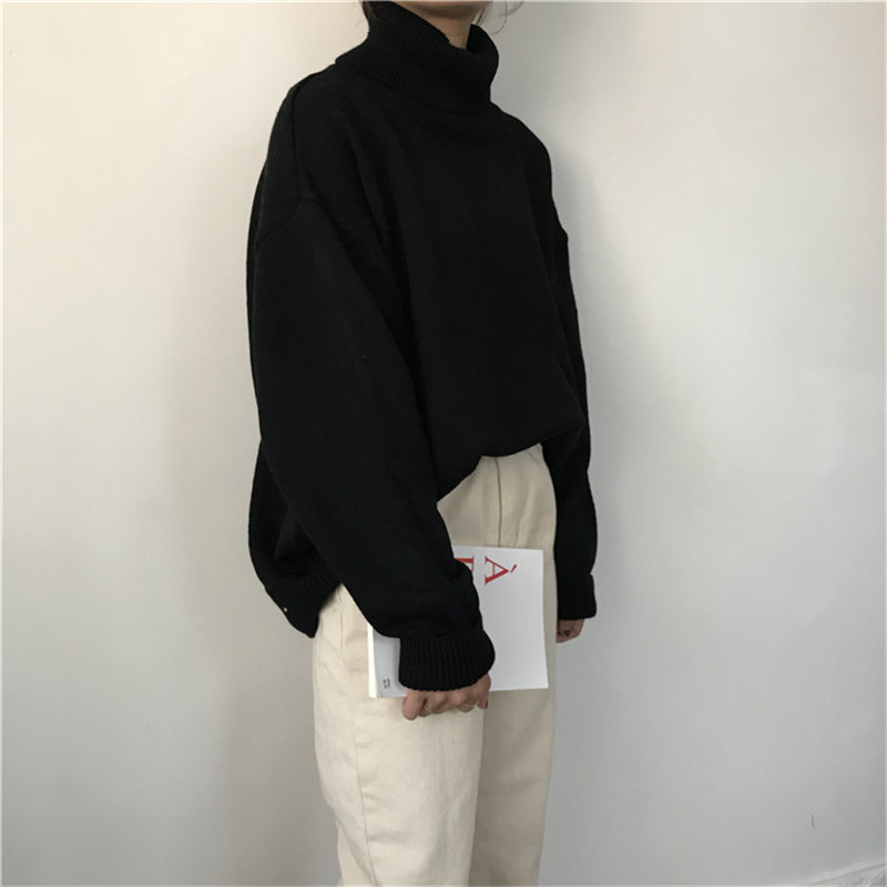 Thicken Solid Turtl… - image