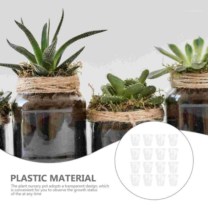 Planters & Pots 50pcs Transparent Nursery Cups Gardening Simple Practical Nutrient
Planters & Pots 50pcs Transparent Nursery Cups Gardening Simple Practical Nutrient