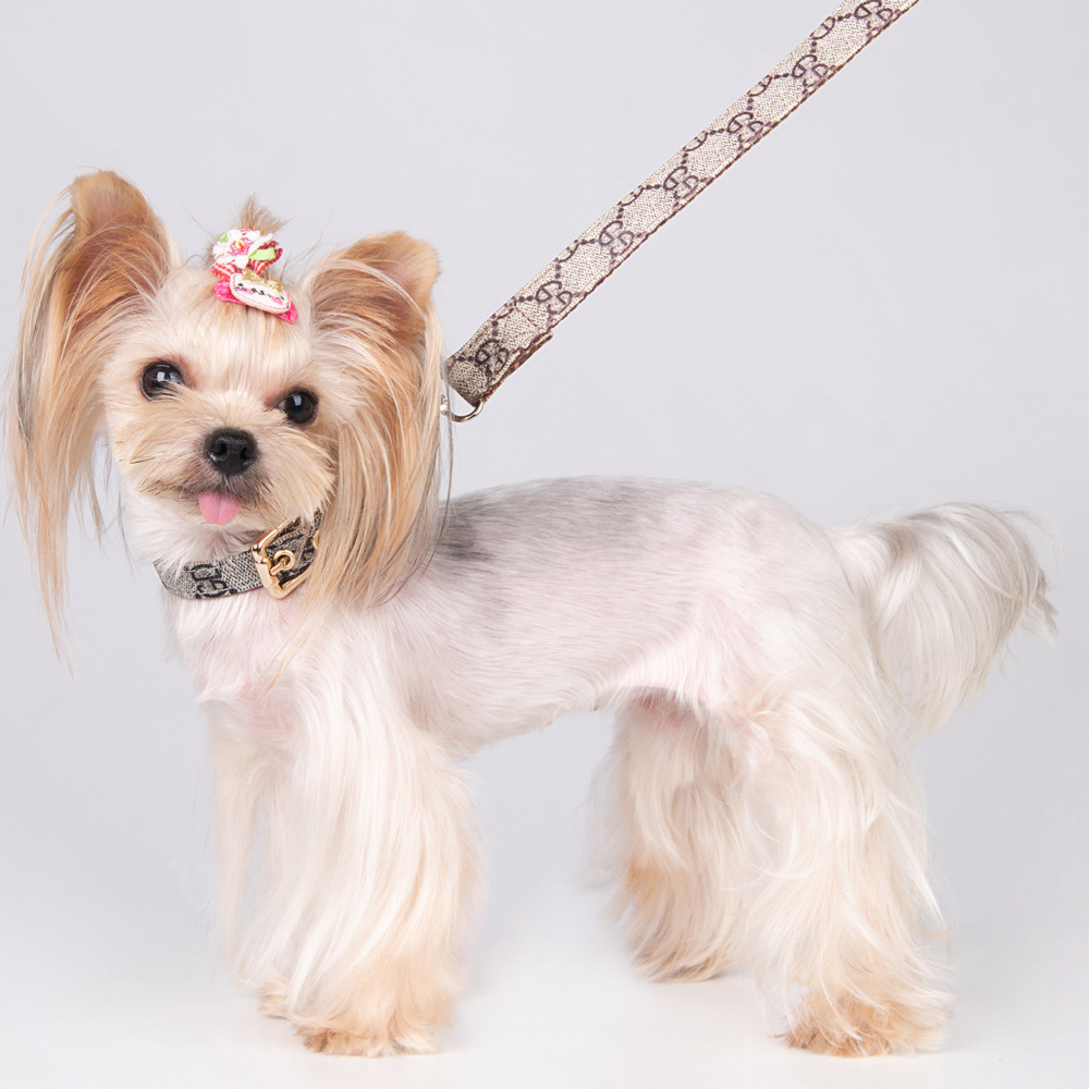 Stylish and Versatile Adjustable Puppy Necklace Waterproof PU Leather Leash with Letter Motifs for Furry Friends