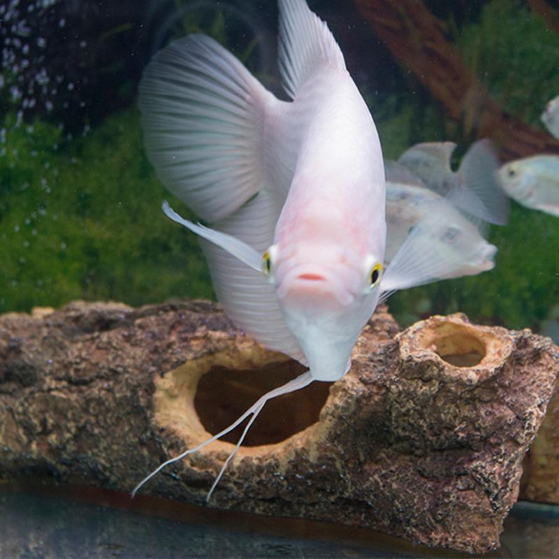 Decorations Aquarium Decoration Fish Tank Landscaping Tree Root Wood Cave Ornaments Shelter Aquascape Landscape Home Decor Accessories
Decorations Aquarium Decoration Fish Tank Landscaping Tree Root Wood Cave Ornaments Shelter Aquascape Landscape Home Decor Accessories