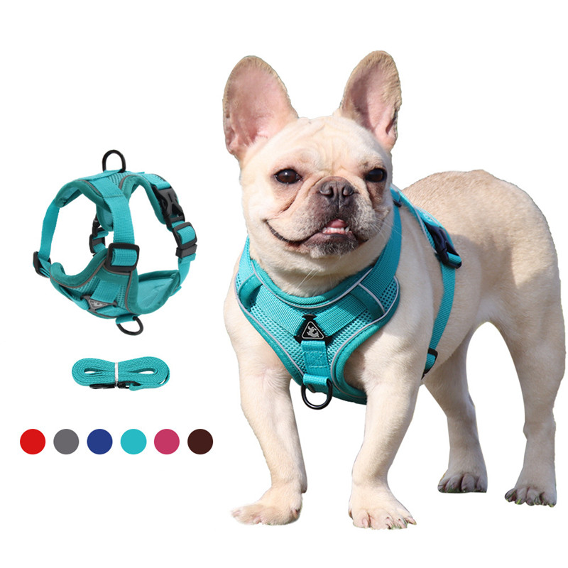 Dog Leashes traction ropes vestvstyle pet chest harness reflective breathable rope for walking cats and dogs
Dog Leashes traction ropes vestvstyle pet chest harness reflective breathable rope for walking cats and dogs