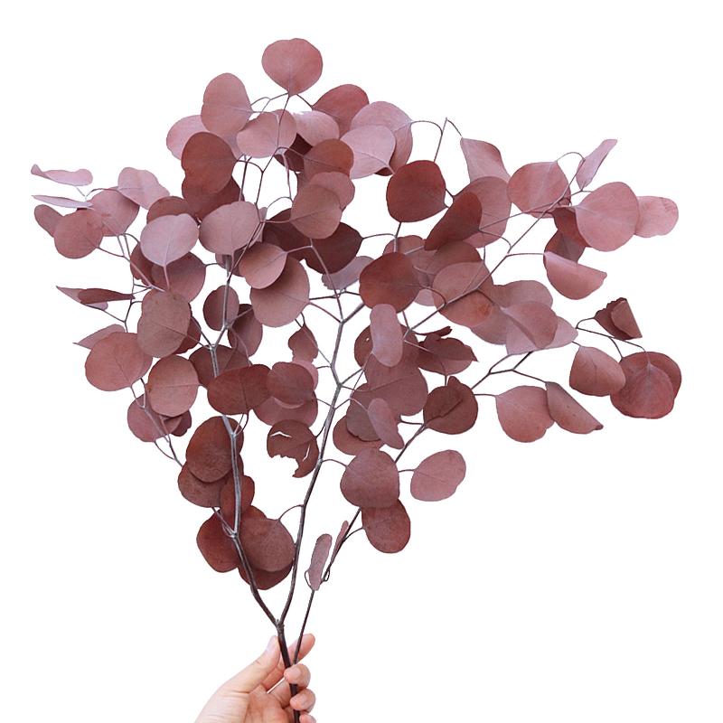 Decorative Flowers & Wreaths Natural Preserved Eucalyptus Leaves Bouquet Immortal Dried Flower For Wedding Decor Display Home Decoration