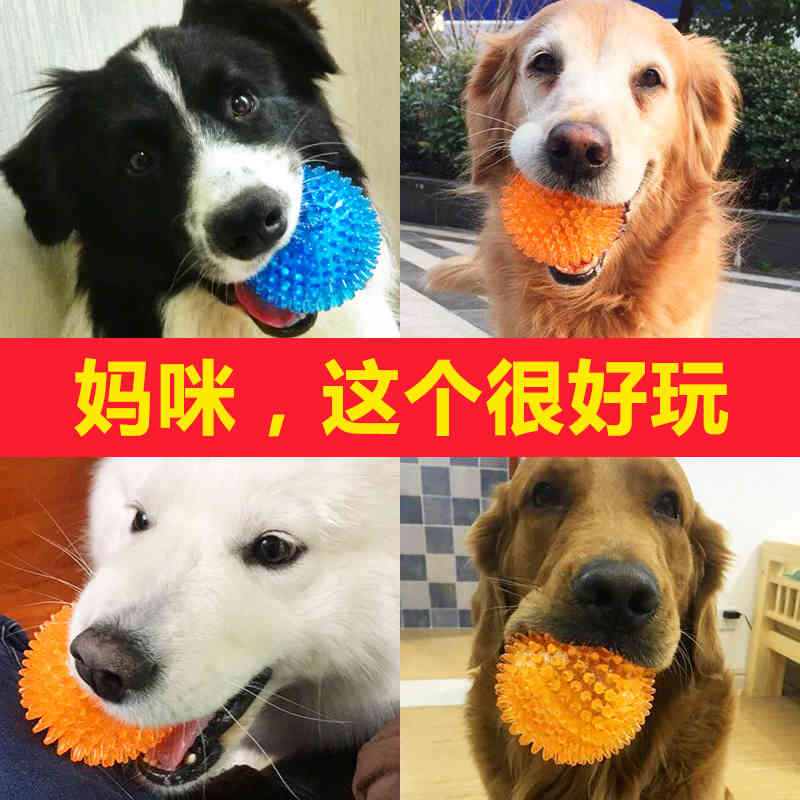 Yite bite resistant large dog molar training ball golden Teddy summer vocal pet toy 
Yite bite resistant large dog molar training ball golden Teddy summer vocal pet toy