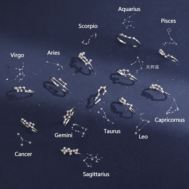 Inlaid Cubic Zircon 12 Constellation Zodiac Sign Rings for Simple Sier Color Adjustable Ring Jewelry Gift