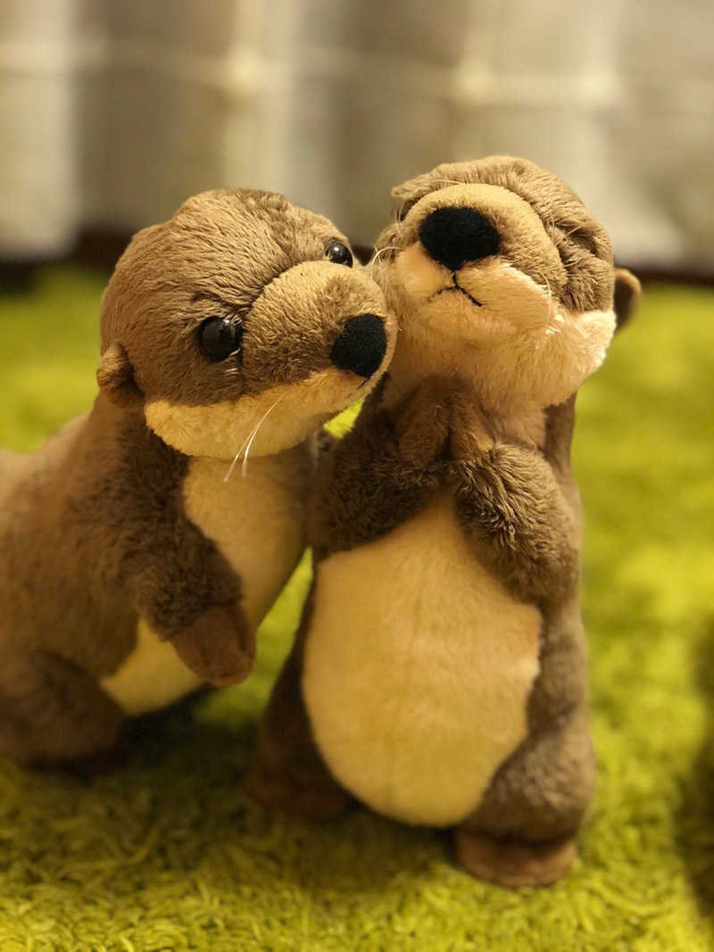 18cm Standing River Otter Plush Toys Mini Size Real Life Otter Stuffed Animals Toys For Kids Birthday Gifts H0824, River otter a
18cm Standing River Otter Plush Toys Mini Size Real Life Otter Stuffed Animals Toys For Kids Birthday Gifts H0824, River otter a