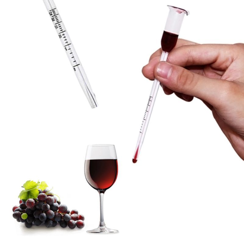 Tester Vintage Meten Bottle Set Tool Alcohol Meter Wine Concentration Meter 0-50/0-100 Hydrometer 13 Cm