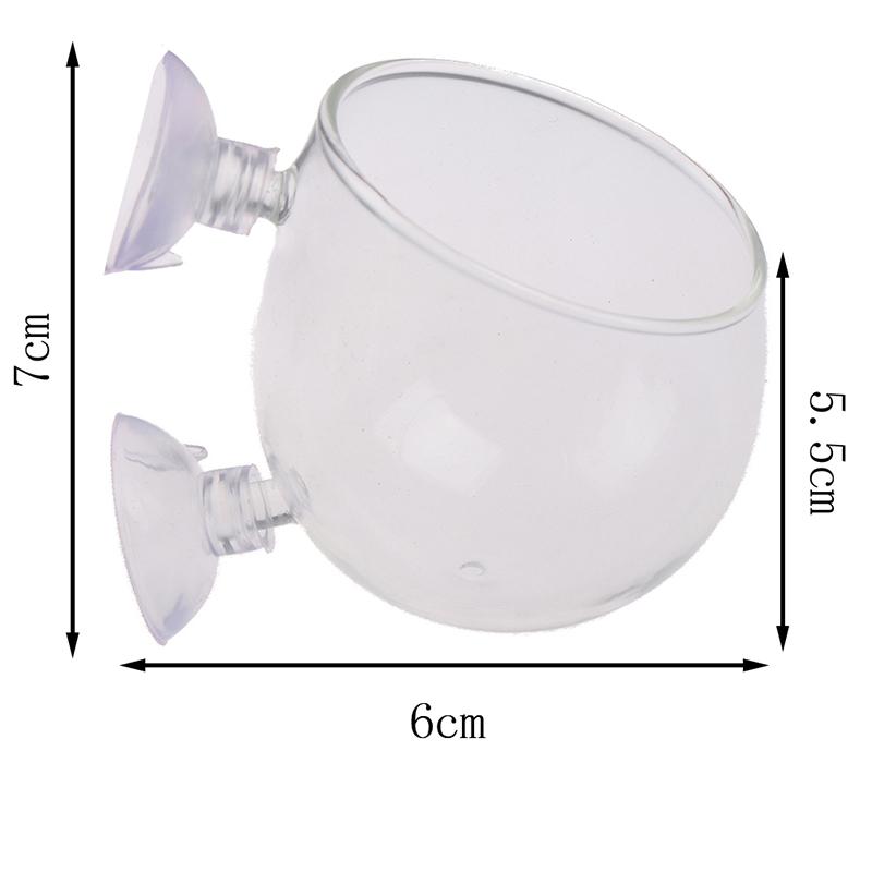 Decorations Mini Crystal Glass Pot Polka Water Potted Aquatic Planting Cylinder Cup Aquarium Accessories Decoration Fish Tank
Decorations Mini Crystal Glass Pot Polka Water Potted Aquatic Planting Cylinder Cup Aquarium Accessories Decoration Fish Tank
