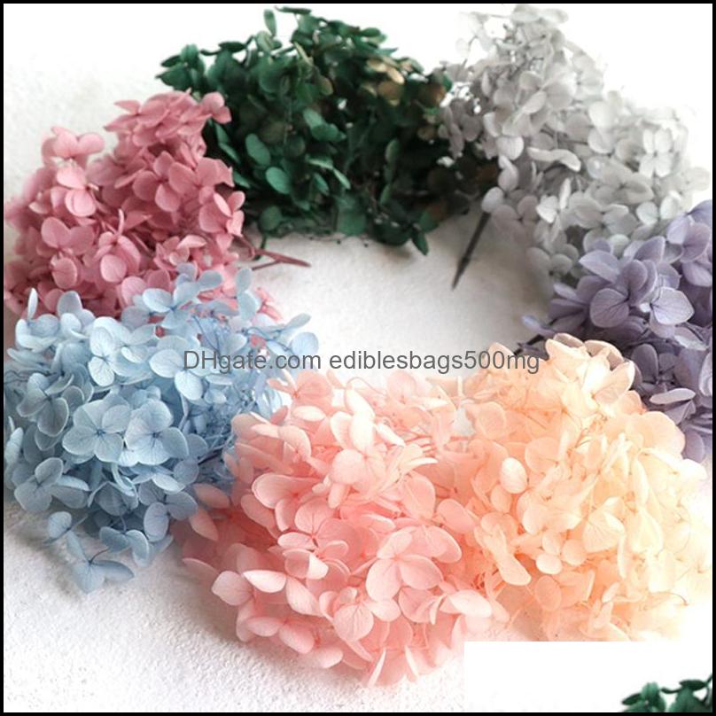 Decorative Festive Party Supplies Home Gardendecorative Flowers & Wreaths 5G/Lot Hydrangea Real Dried Flower Dry Plants For Candleepoxy Pend от DHgate WW