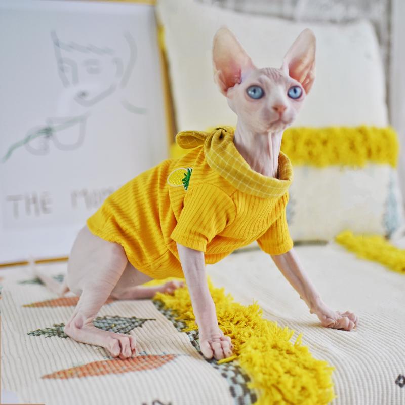 

Cat Costumes FSS Hairless Kitty Shirt Bottoming Clothes For Spring Autumn Outfits Sphinx Bald Clothing Sphynx Apparel