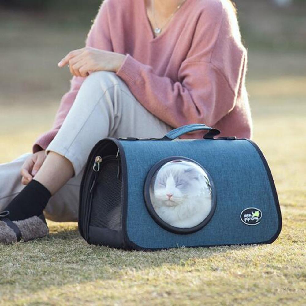 Kat Draagtas Breathing Transparent Puppy Kat Backpack Cats Box Kooi Small Dog Pet Travel Carrier Handbag Space Capsule