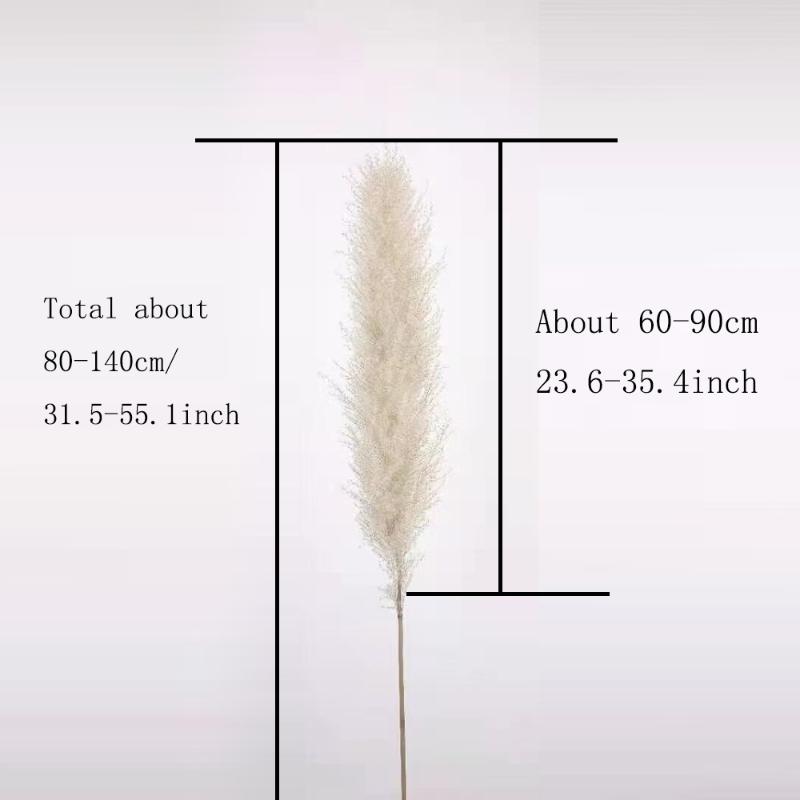 Decorative Flowers & Wreaths 140CM 10Pcs/lot Natural Large Pampas Grass Decor Real Artificial Dried Bouquet Wedding Supplies Christmas