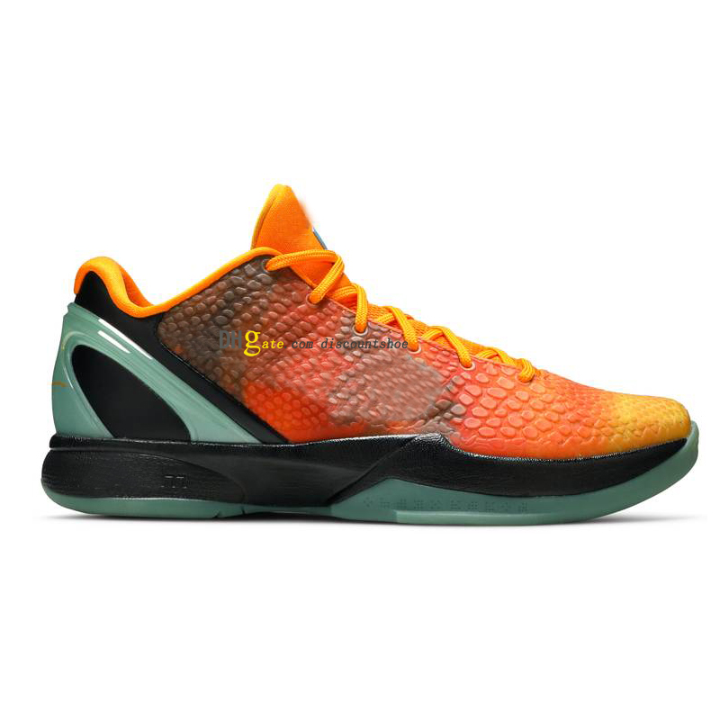 6 All Star Orange County Basketball Shoes shoe Mens Sneakers Size US 7-12 448693 800
6 All Star Orange County Basketball Shoes shoe Mens Sneakers Size US 7-12 448693 800