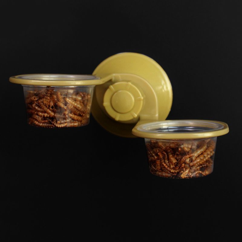 Sewing Reptile Water Food Feeder Wall Knoping Feed Plate Come Spider Fokken Box Tank Plate Pot Delivery