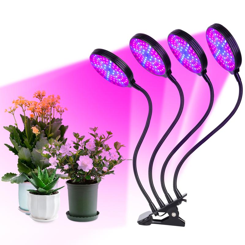 Grow Light Clip-On Desk Plant Growing Lamps For Seedlings Indoor Plants 60W 4-Head Red & Blue LEDs Auto On Off With 4 8 12H Lights
Grow Light Clip-On Desk Plant Growing Lamps For Seedlings Indoor Plants 60W 4-Head Red & Blue LEDs Auto On Off With 4 8 12H Lights