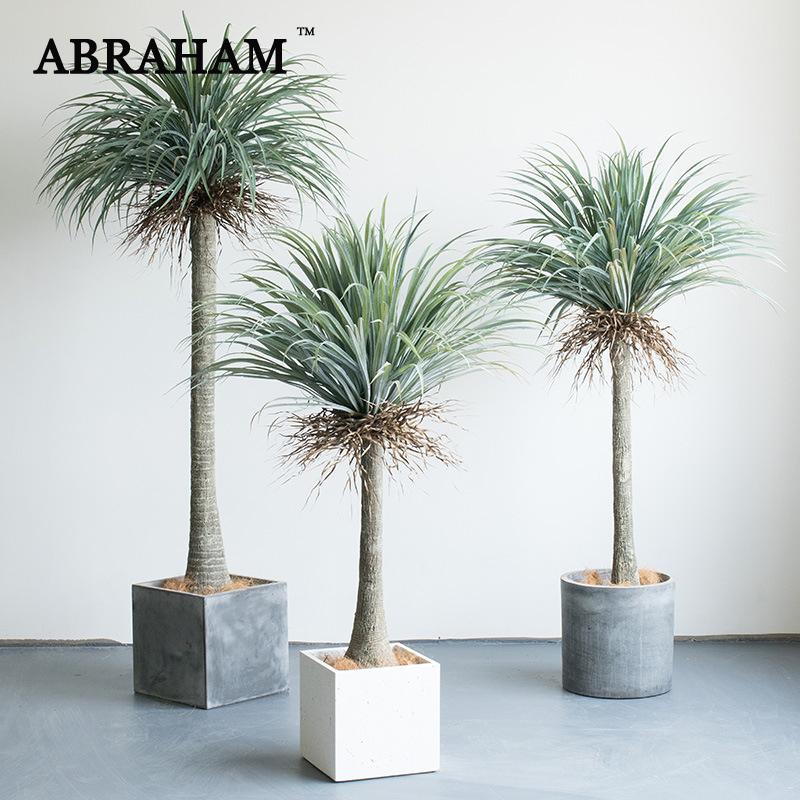 Decorative Flowers & Wreaths 230cm Plastic Tropical Plants Large Artificial Tree Supper Big Palm Fake Dracaena Indoor For Home Office Party, 160cm with pot
Decorative Flowers & Wreaths 230cm Plastic Tropical Plants Large Artificial Tree Supper Big Palm Fake Dracaena Indoor For Home Office Party, 160cm with pot