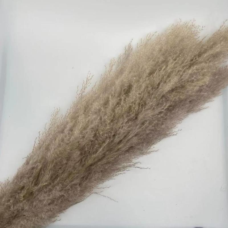Decorative Flowers & Wreaths 140CM 10Pcs/lot Natural Large Pampas Grass Decor Real Artificial Dried Bouquet Wedding Supplies Christmas