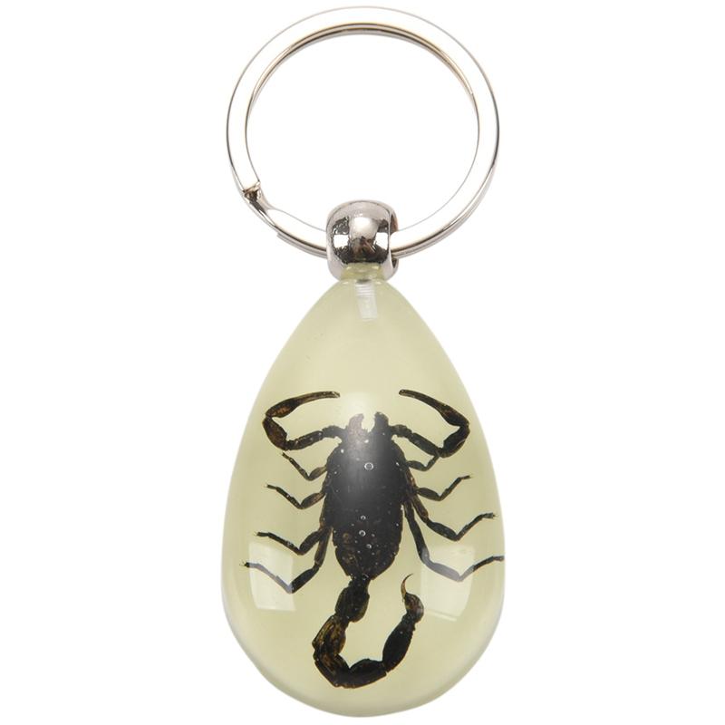 Keychains Glow-In-The-Dark Real Insect Keychain