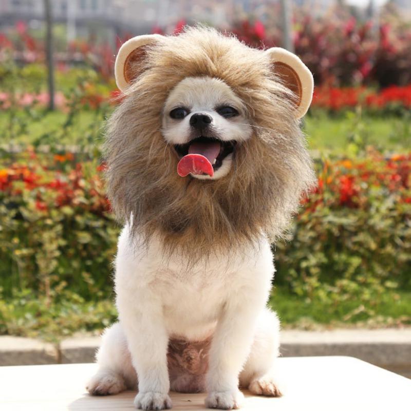 Cat Costumes Cosplay Clothes Pet Small Dog Costume Lion Mane Wig Cap Hat For Halloween Christmas Dress
Cat Costumes Cosplay Clothes Pet Small Dog Costume Lion Mane Wig Cap Hat For Halloween Christmas Dress