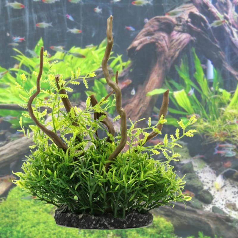 Decorations Habitat Crafts Fish Shrimps Potted Plant Decoration Aquarium Accessories
Decorations Habitat Crafts Fish Shrimps Potted Plant Decoration Aquarium Accessories