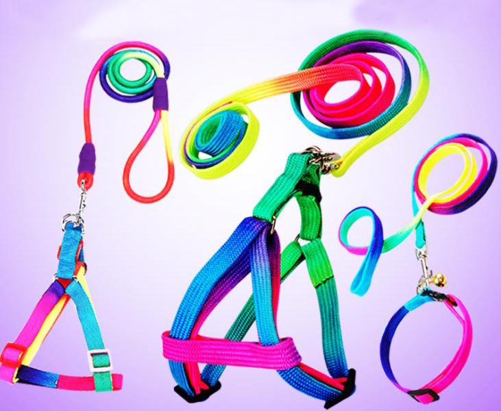 Colorful Rainbow Pet Dog Collar Leashes Harness Leash Soft Walking Lead and Durable Traction Rope Nylon
Colorful Rainbow Pet Dog Collar Leashes Harness Leash Soft Walking Lead and Durable Traction Rope Nylon