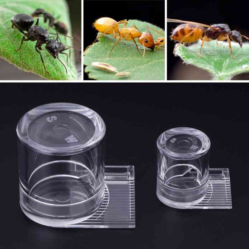 Ant Feeder Water Feed Area For Ant Nest House Farmhouse Acryl Round Table