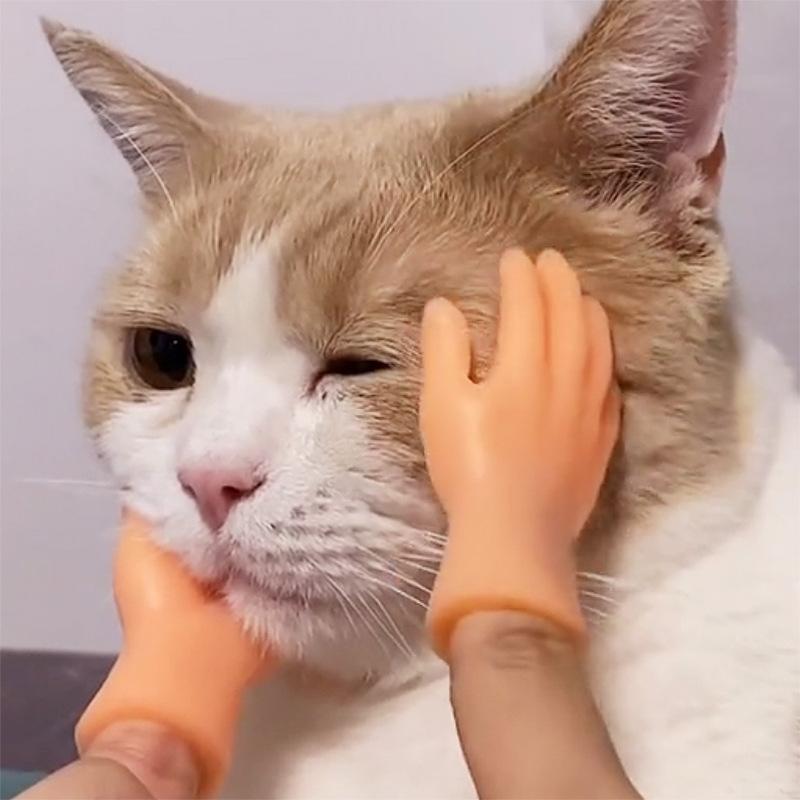 Cat Toys Little Hands Finger Sets Palms Left And Right Hand Model Mini Tricky Pet Massage Gloves
Cat Toys Little Hands Finger Sets Palms Left And Right Hand Model Mini Tricky Pet Massage Gloves