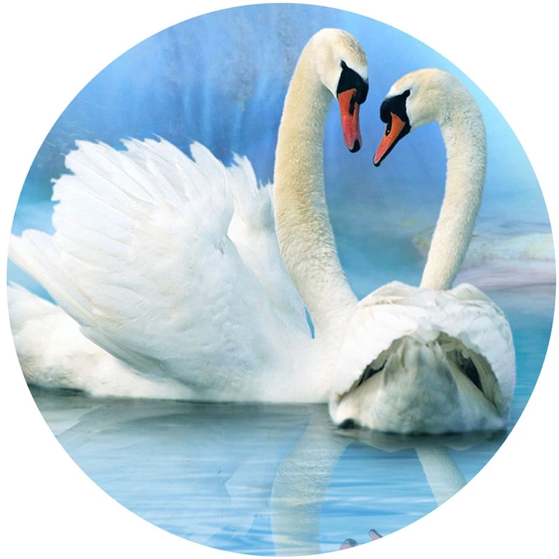 Custom Photo Wallpaper 3D Swan Lake Nature Scenery Mural Living Room TV Sofa Bedroom Home Decor Wall Murals