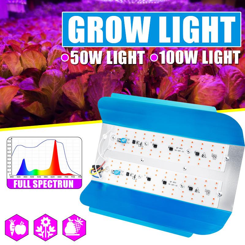 Grow Light 100W 50W Full Spectrum Phytolamp Waterproof COB LED Cultivation Lamps For Plants Flowers IP65 Phyto Lamp 220V Lights
Grow Light 100W 50W Full Spectrum Phytolamp Waterproof COB LED Cultivation Lamps For Plants Flowers IP65 Phyto Lamp 220V Lights