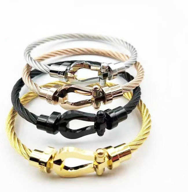 Bangle Stainless steel wire horseshoe magnet buckle designer men's and women's bracelet with box, Black
Bangle Stainless steel wire horseshoe magnet buckle designer men's and women's bracelet with box, Black