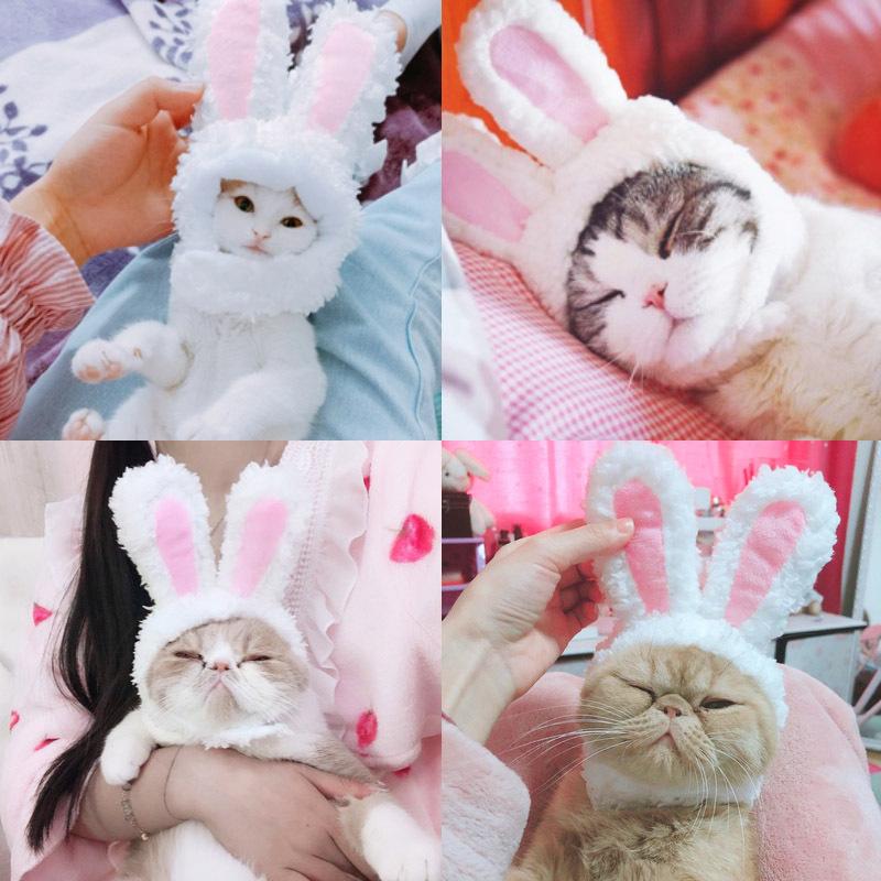 Cat Costumes Cute Headgear Drag Hat Dog Headwear Costume Performance PoProps Funny Pet Ears Cosplay Warm Hood
Cat Costumes Cute Headgear Drag Hat Dog Headwear Costume Performance PoProps Funny Pet Ears Cosplay Warm Hood