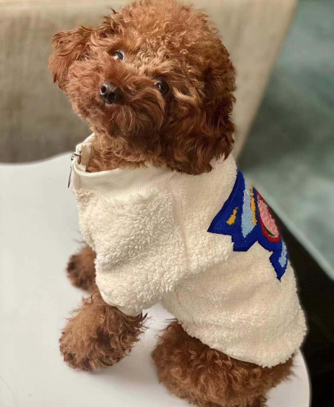 Dog Apparel Clothes Autumn winter Zipper Sweaters Small Sweater Pet supply Cartoon Clothing Puppy Jumpsuit Outfit, Customize
Dog Apparel Clothes Autumn winter Zipper Sweaters Small Sweater Pet supply Cartoon Clothing Puppy Jumpsuit Outfit, Customize