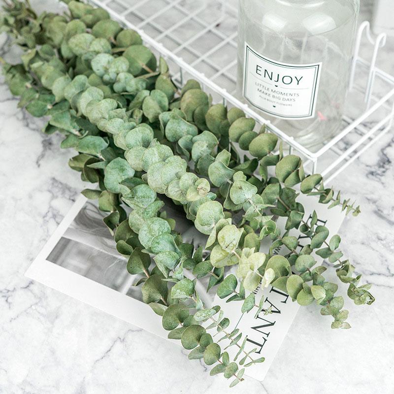 Decorative Flowers & Wreaths DIY Real Natural Eucalyptus Leaves Dried Flower Wedding Decorate Stems For Home Ornaments Green Decor Plant, 10pcs 20cm
Decorative Flowers & Wreaths DIY Real Natural Eucalyptus Leaves Dried Flower Wedding Decorate Stems For Home Ornaments Green Decor Plant, 10pcs 20cm