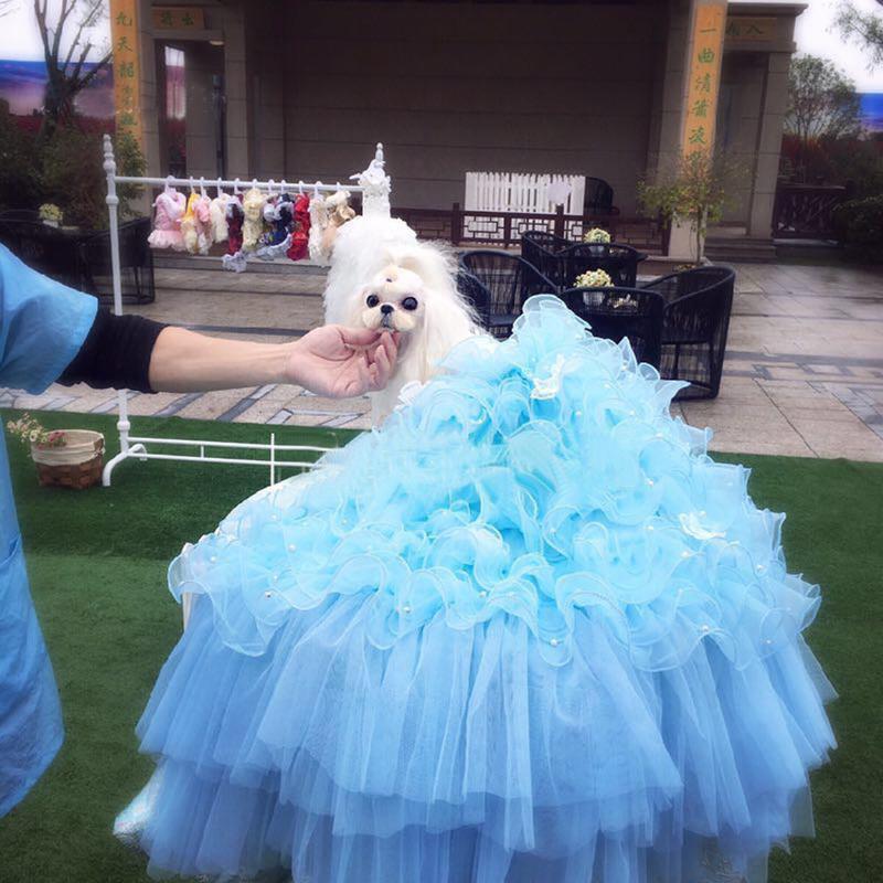 Dog Apparel Pet Dress Wedding Party Luxury Princess Puppy Handmade Embroidery For Small Dogs Noble Tutu Lace Pearl Pleated Skirts
Dog Apparel Pet Dress Wedding Party Luxury Princess Puppy Handmade Embroidery For Small Dogs Noble Tutu Lace Pearl Pleated Skirts