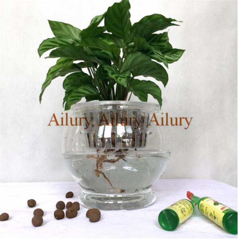 Set,OD-12cm,plastic Transparent Hydroponic Vase Family Gardening Material Flowerpot, Imitation Glass High Definition Flowerpot Planters & Po
Set,OD-12cm,plastic Transparent Hydroponic Vase Family Gardening Material Flowerpot, Imitation Glass High Definition Flowerpot Planters & Po