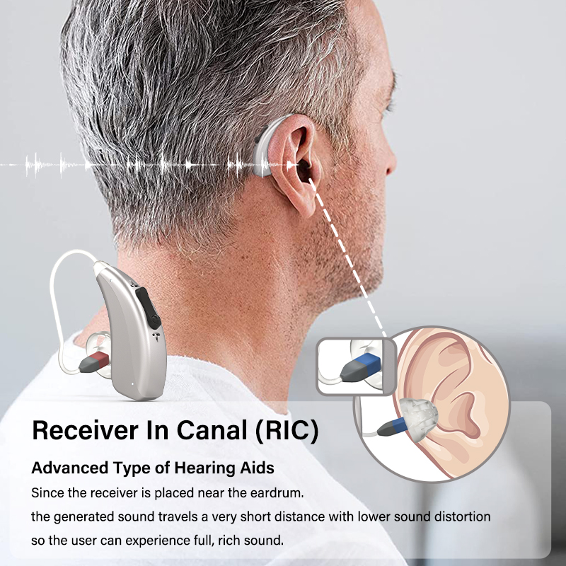 Mearto Advanced Rechargeable Hearing Aid for Seniors Adults Dragon435S Receiver in Canal for Best Sound Dual MicsScouts
Mearto Advanced Rechargeable Hearing Aid for Seniors Adults Dragon435S Receiver in Canal for Best Sound Dual MicsScouts