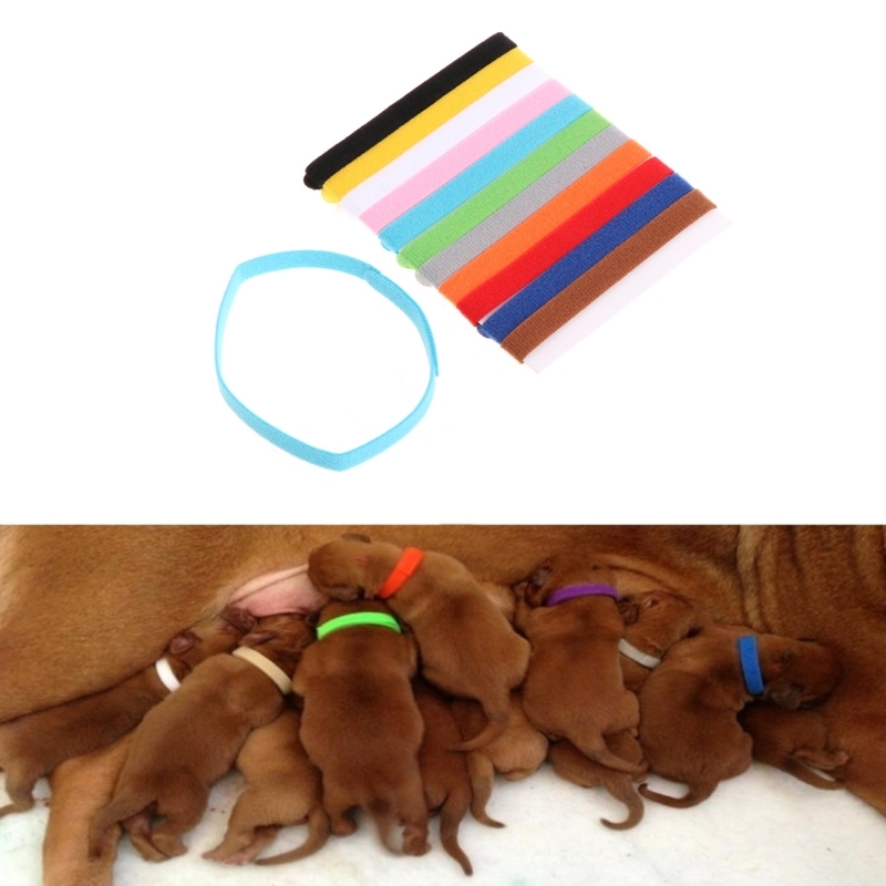 12Pcs Pets Puppy Necklaces Various colours Nice soft identification Mark for cats Dogs